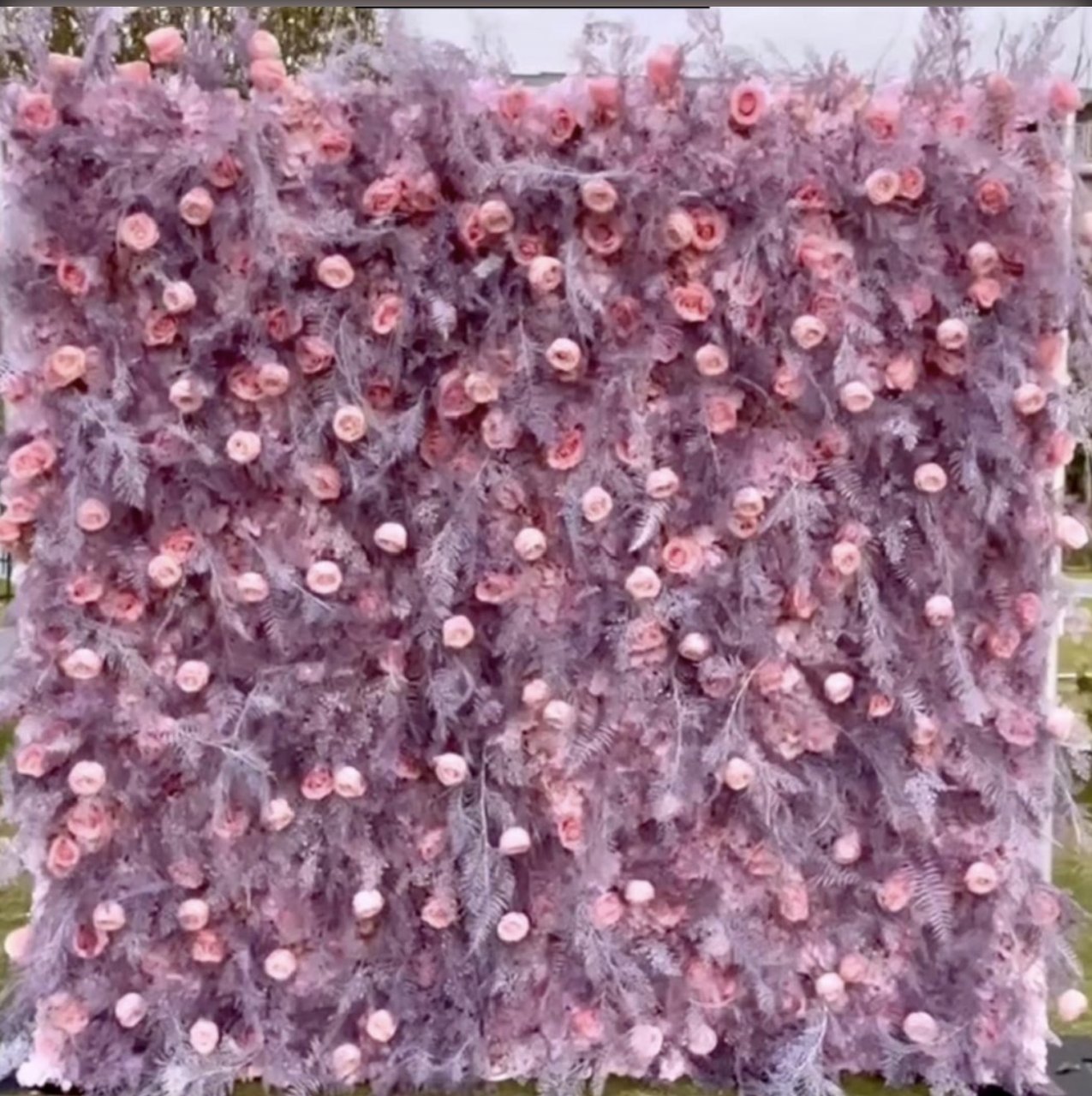 The Ilene wall: lilac plumes dotted with pink roses